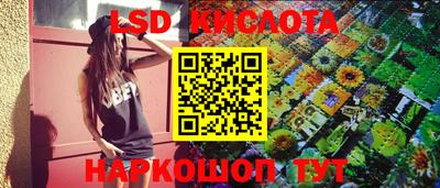 тгк Кингисепп