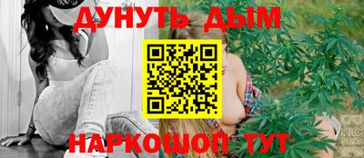 тгк Кингисепп