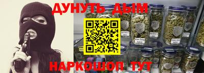 тгк Кингисепп