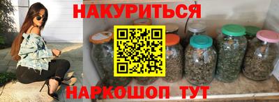 тгк Кингисепп