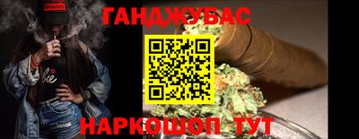тгк Кингисепп