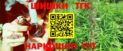 тгк Кингисепп