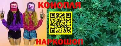 тгк Кингисепп