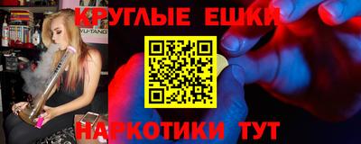 тгк Кингисепп