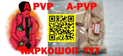 тгк Кингисепп
